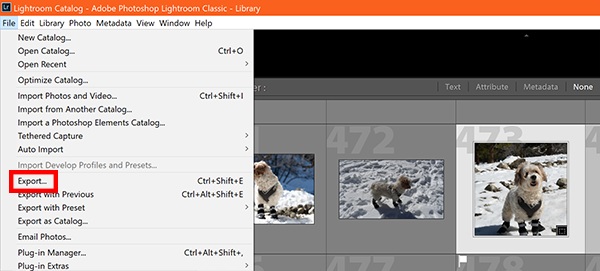 Screenshot of how to export photos from Lightroom