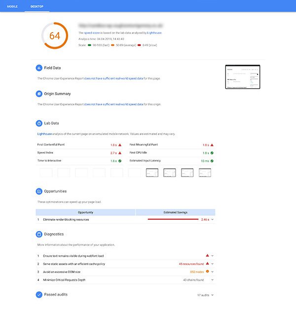 Screenshot of Google PageSpeed Insights