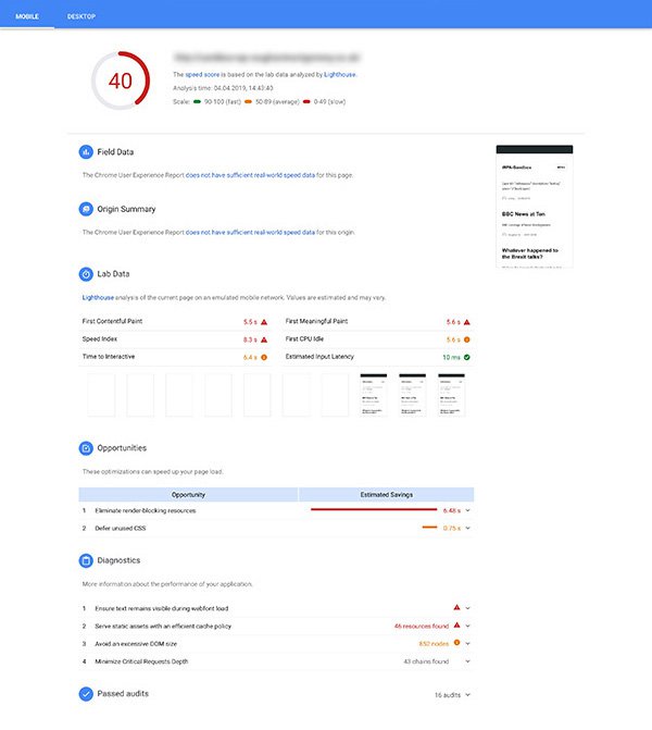 Screenshot of Google PageSpeed Insights