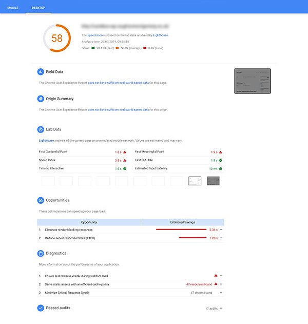 Screenshot of Google PageSpeed Insights