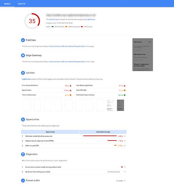 Screenshot of Google PageSpeed Insights