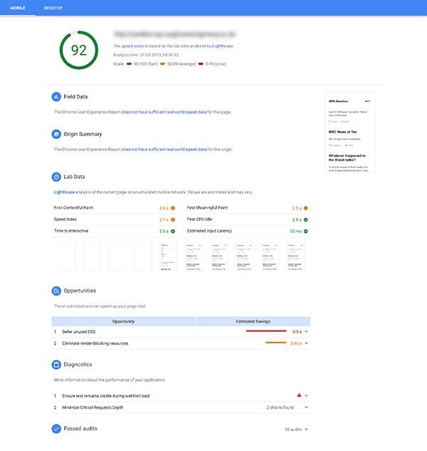 Screenshot of Google PageSpeed Insights