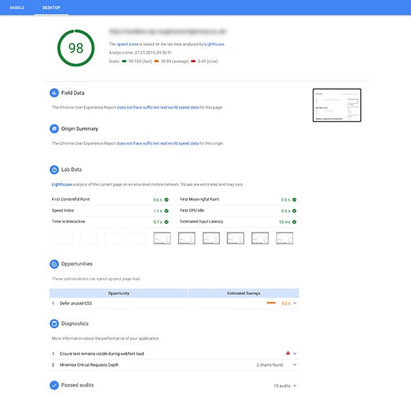 Screenshot of Google PageSpeed Insights