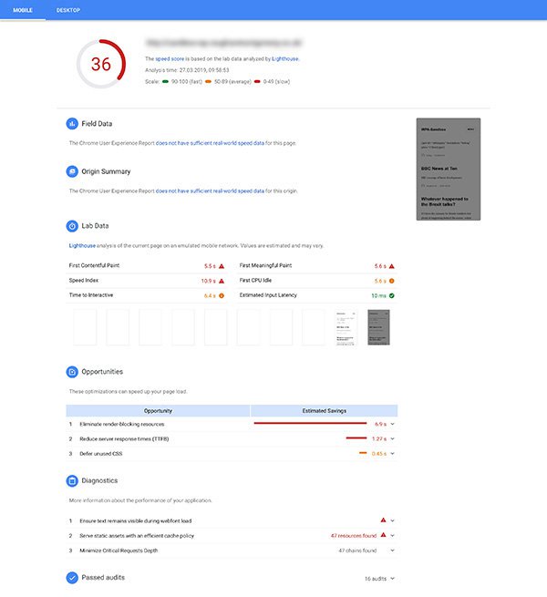 Screenshot of Google PageSpeed Insights