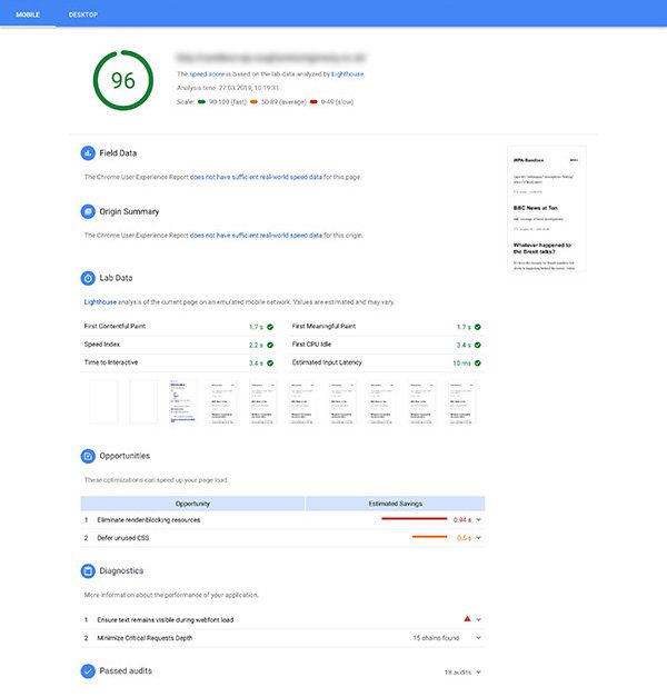 Screenshot of Google PageSpeed Insights