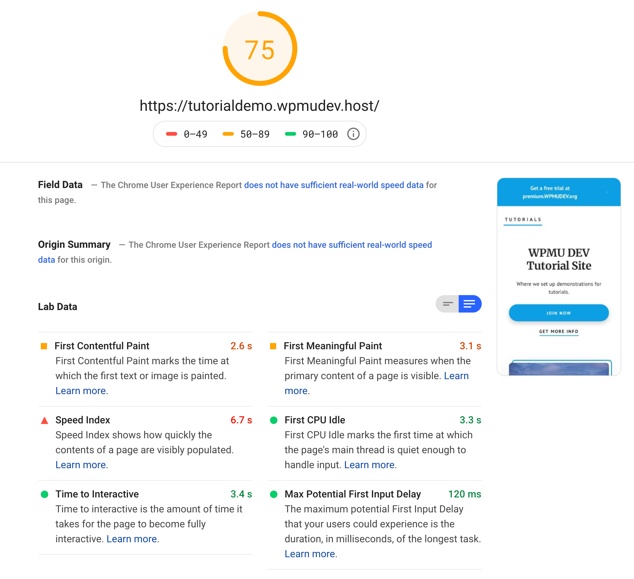 Screenshot of Google PageSpeed Insights Results Page