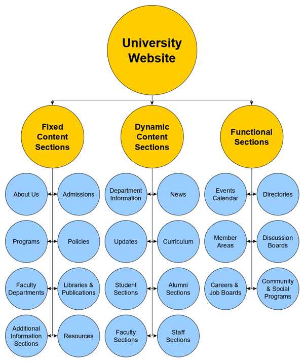 A university website is a complex digital ecosystem.