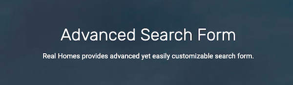offer users an advanced search form