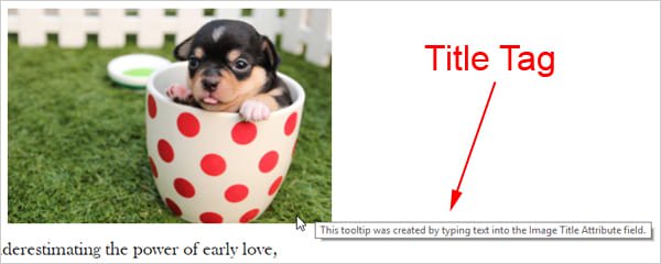 Screenshot showing a tooltip created by inputting text into the Image Title Attribute field.