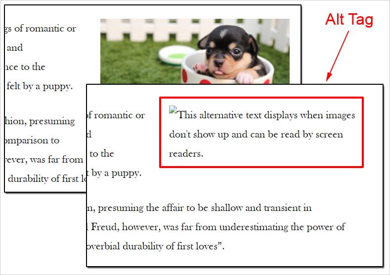 Screenshot of WordPress post with images turned off to display alternate text.