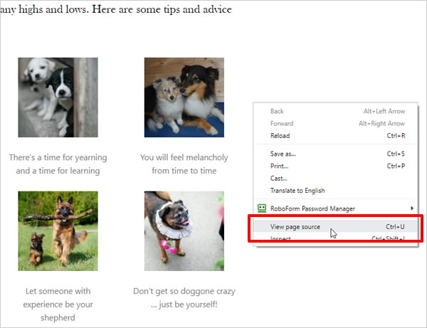 screenshot of view page source selected by right-clicking on screen