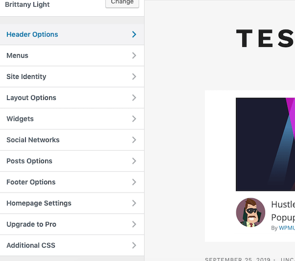 A look at the menu options of this theme