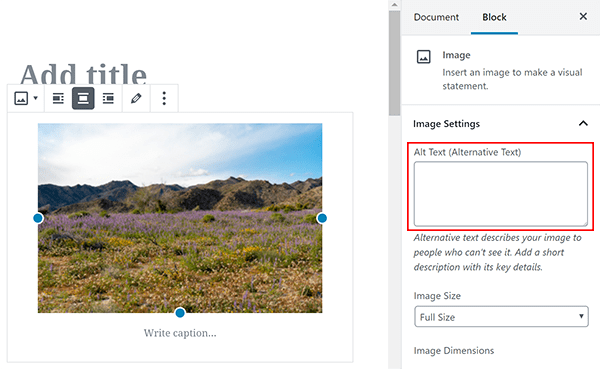 Screenshot where to add alt text in image block.