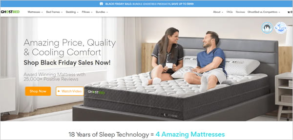 Amp Optimized WordPress Theme