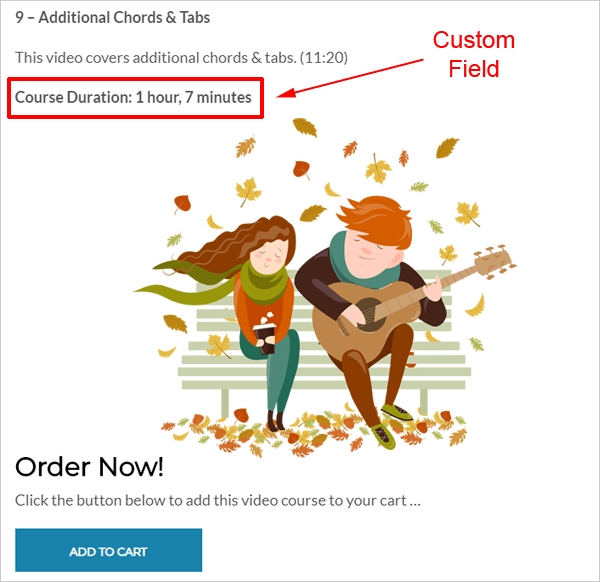 Advanced Custom Fields - front end page.