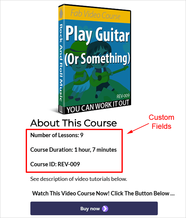 Advanced Custom Fields - front end.