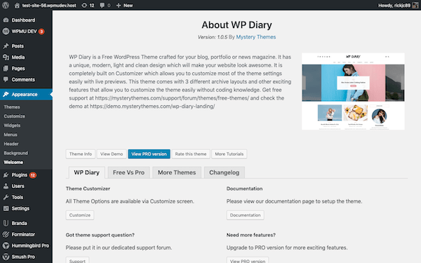 A look at the welcome page of this theme