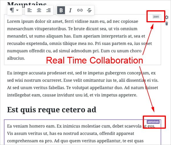 Real Time Collaboration Using Gutenberg.