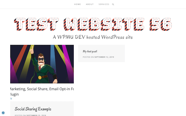 A look at the live theme website