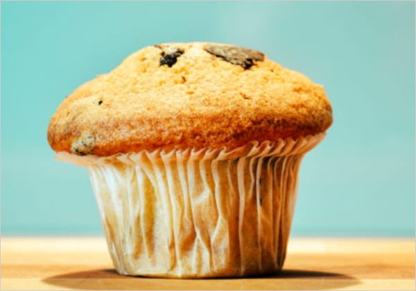 Using a jQuery Slider with WordPress