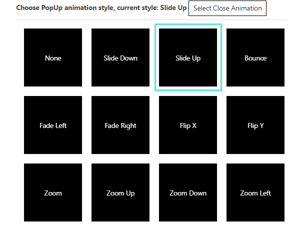 Showing the animation options.