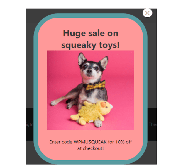 An example of a pop-up we made in WordPress, after we gave it some life!