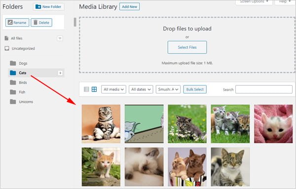 Screengrab of WordPress media library with FileBird plugin installed.