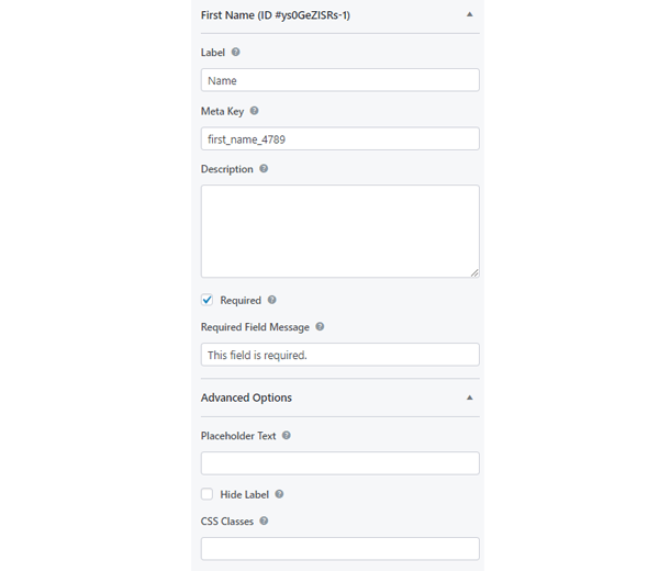 Showing the field edit options.
