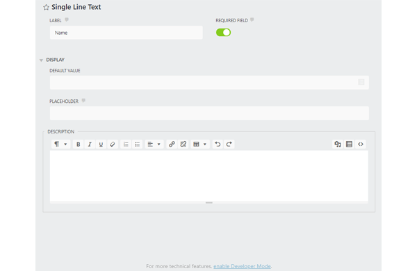 Showing a screenshot of the field options.