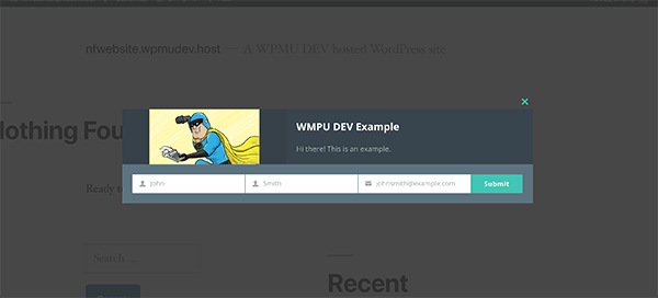 Hustle plugin pop up example.