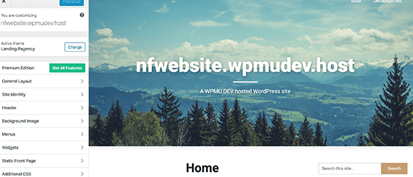 Landing Pagency customization.