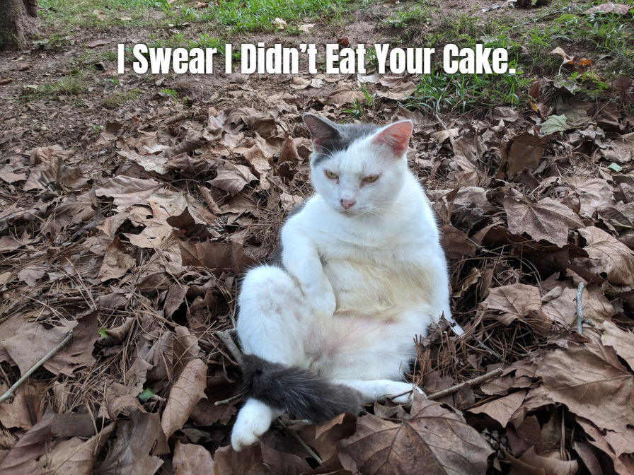 Screenshot of the Meme Me WordPress plugin in action.