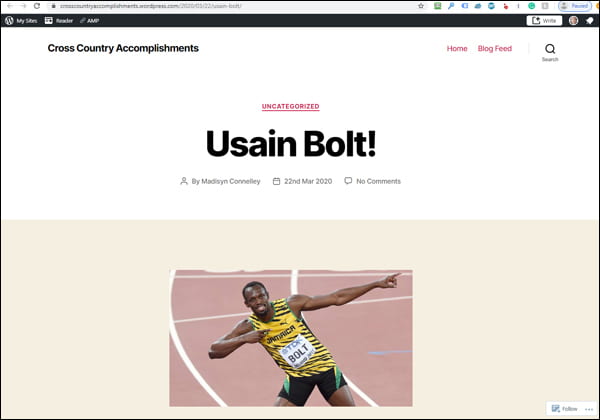 A WordPress.com blog featuring a story on Usain Bolt.