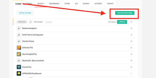 Update everything inside WPMU DEV dashboard.