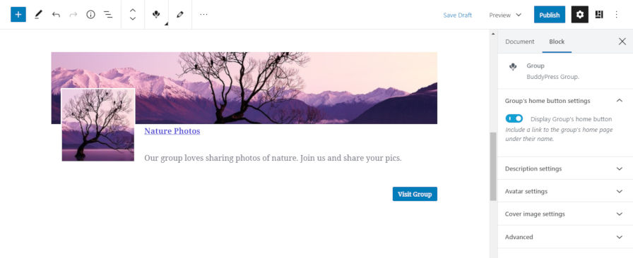Screenshot of the BuddyPress group block within the block editor.