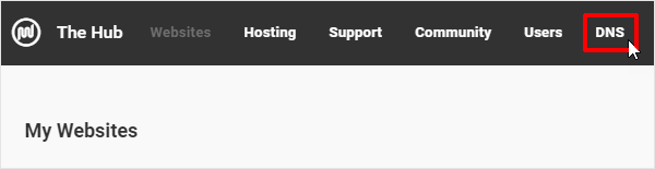 The Hub with DNS menu item highlighted.