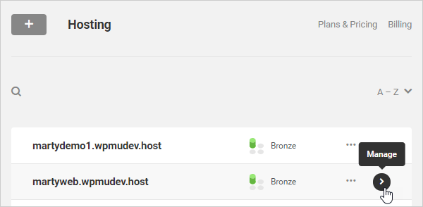 WPMU DEV Hosting screen with Manage button highlighted.