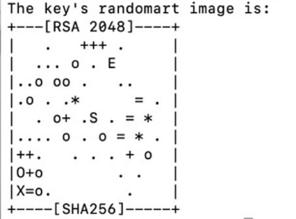 Example of randomart