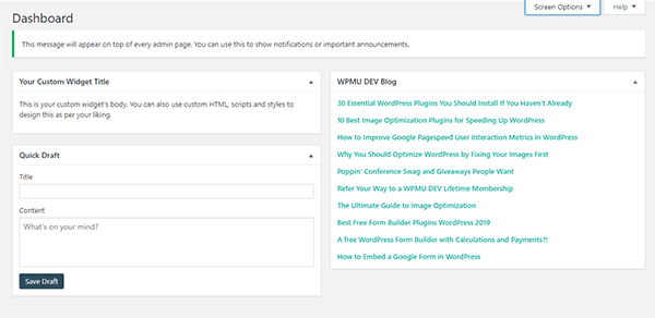 Screenshot of the new custom text widget.
