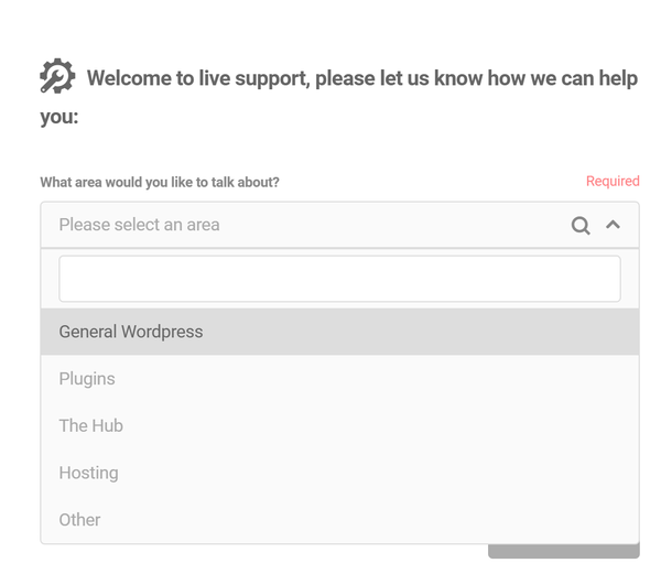 Screenshot from the website showing the five live support categories