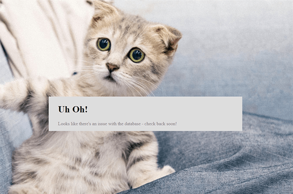 Screenshot of a customized error made using Branda featuring a picture of a cat and a custom error message.