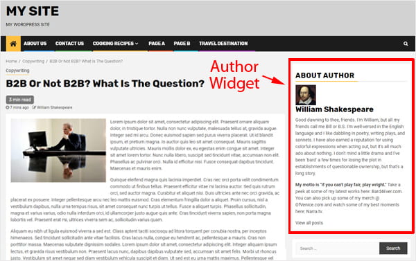 Meks Author Widget displaying on sidebar.