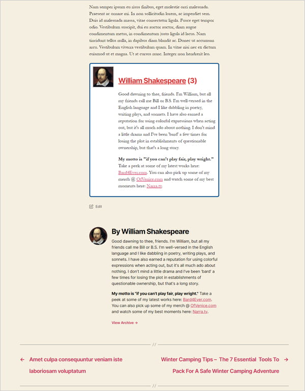 Twenty-twenty theme with duplicated author boxes.