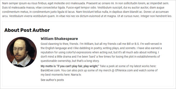 WP Post Author Bio Box Example.