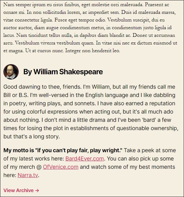 WordPress Twenty Twenty Theme - Post Author Bio