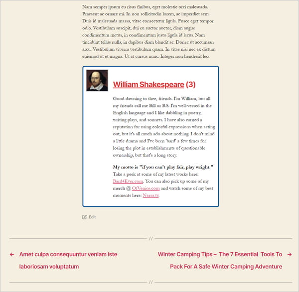 Twenty Twenty theme with a single author bio box displayed.