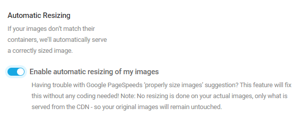 Screenshot of the automatic resizing feature showing it currently turned on.