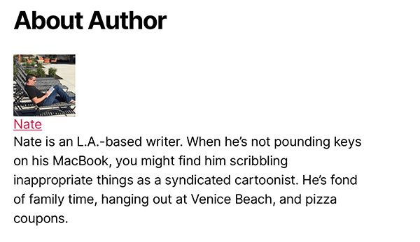 simple author box example.