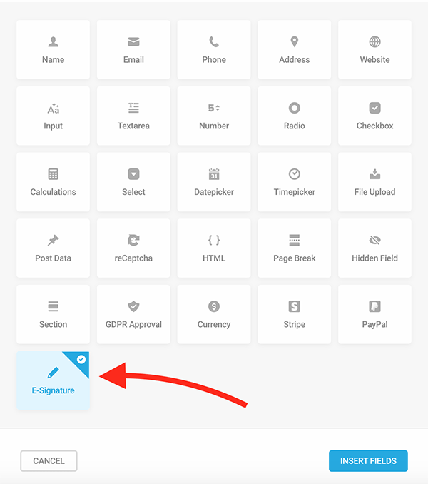 The E-Signature field.