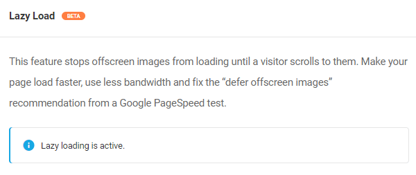 Screenshot of the lazy loading feature activated.